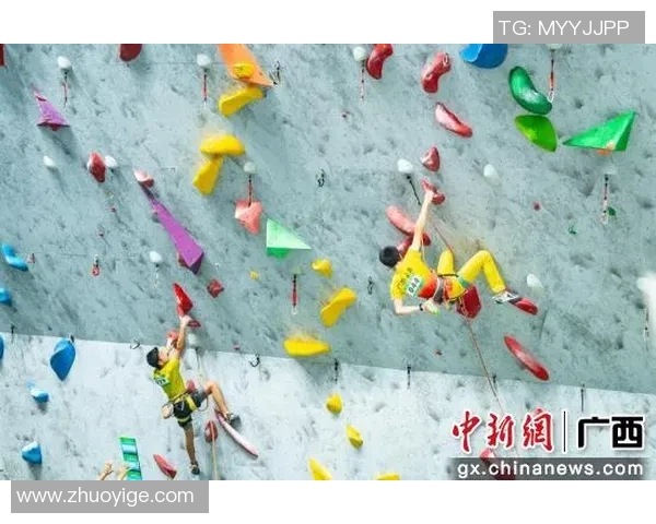 成都攀岩队区域防守体系的战术分析与实战应用探讨